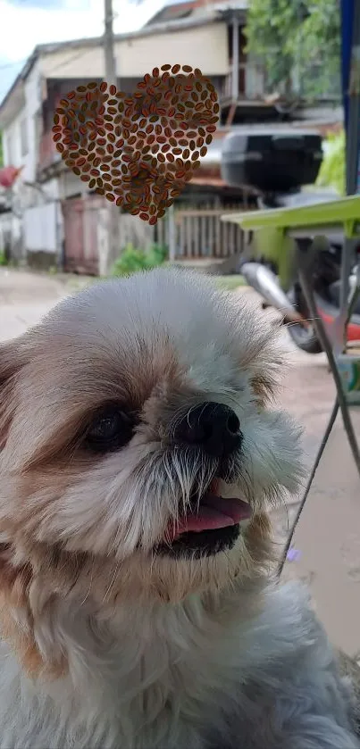 Cute fluffy dog in a serene outdoor setting with a heart decoration.