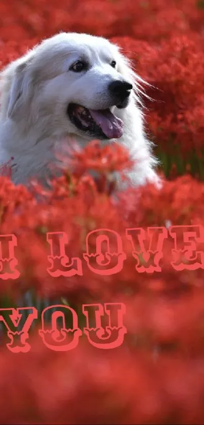White dog in red flowers with 'I Love You' message.