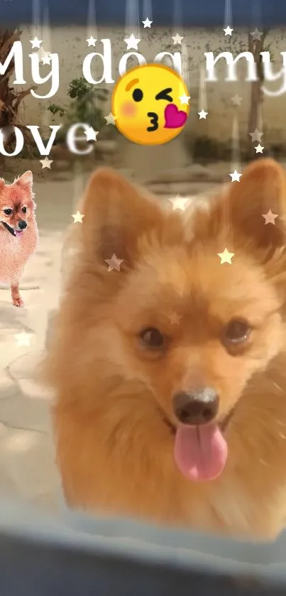 Adorable dog with "My Dog My Love" text and emojis.