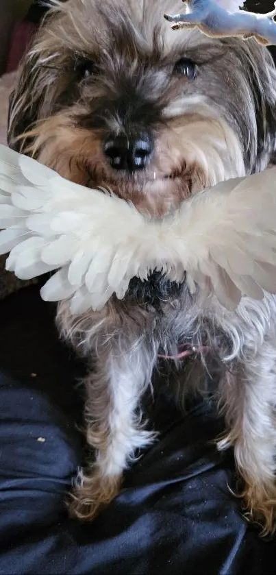 Cute dog with angel wings on a black background, perfect for mobile wallpaper.