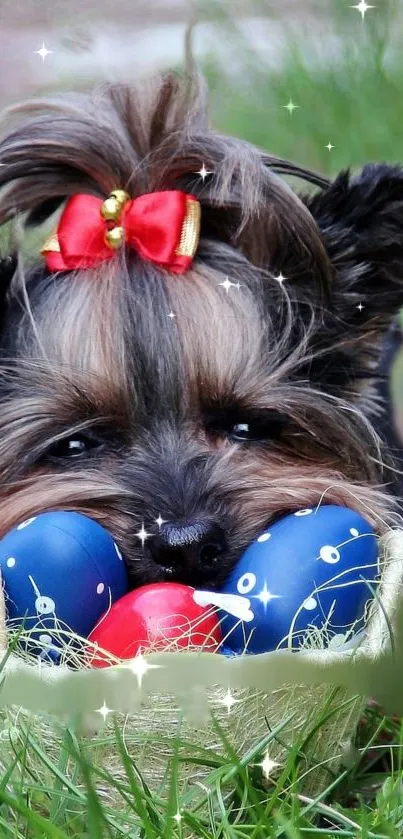 Adorable dog with Easter eggs in grass.