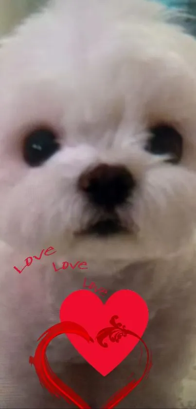 Adorable white dog with red hearts wallpaper for mobile.