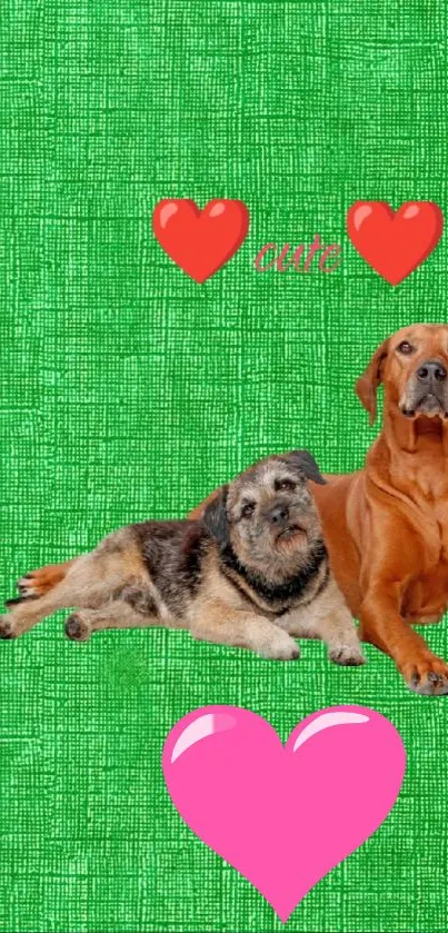 Adorable dogs with hearts on green background.