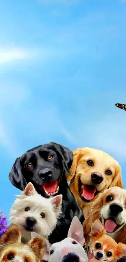 Group of happy dogs with a butterfly against a blue sky.