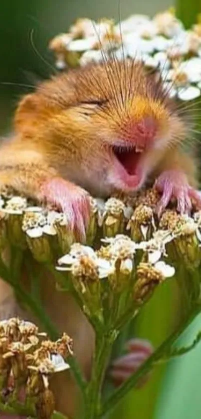 Adorable dormouse resting on white flowers, exuding calm and serenity.