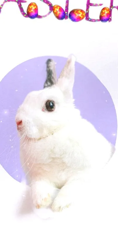 Adorable white rabbit with Easter eggs on a lavender background.