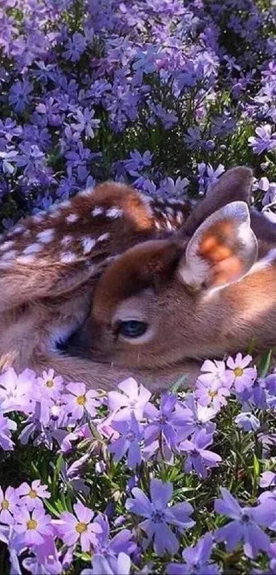 A cute fawn resting among lilac flowers, offering a serene mobile wallpaper.