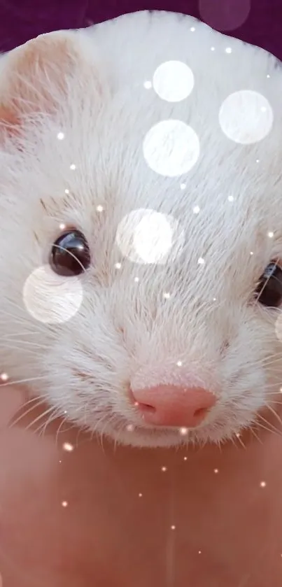 Cute ferret with sparkles mobile wallpaper.