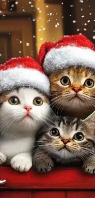 Three kittens wearing Santa hats in a snowy festive scene.