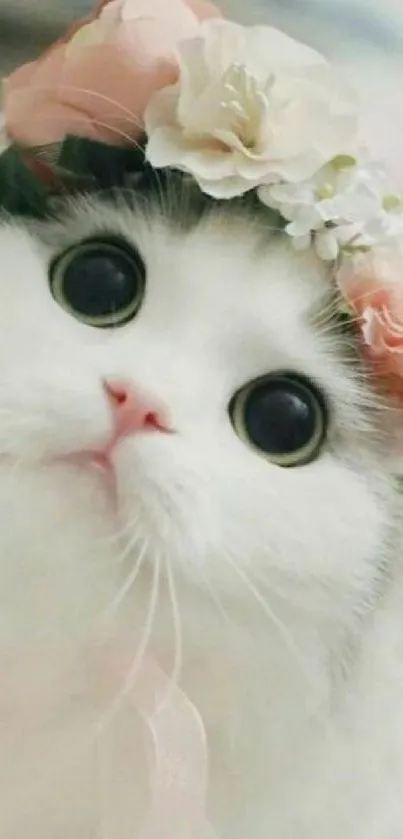 Cute white cat with floral crown looking adorable.