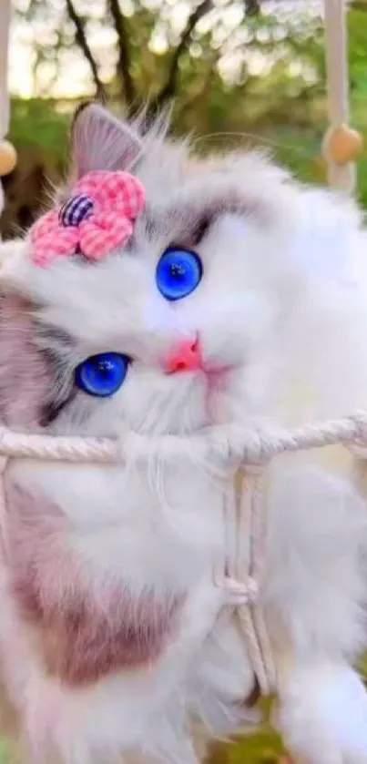 Fluffy cat with blue eyes and pink bow resting in a hammock.