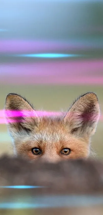 Adorable fox peeks over a blurred natural backdrop.