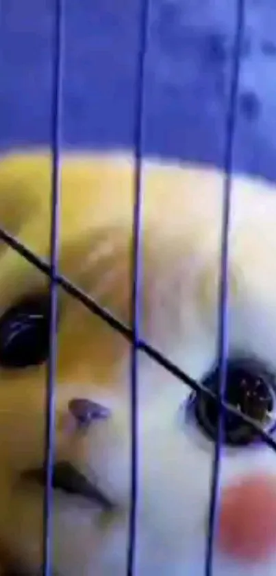 Cute furry creature with big eyes in a cage with a blue background.