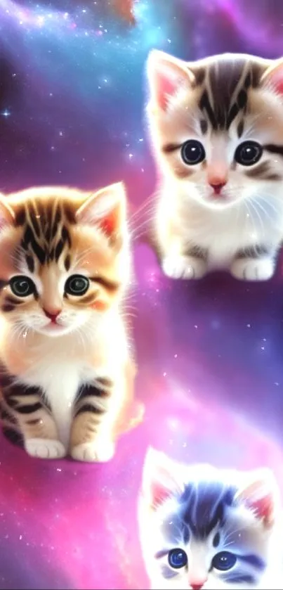 Adorable kittens with galaxy background on mobile wallpaper.