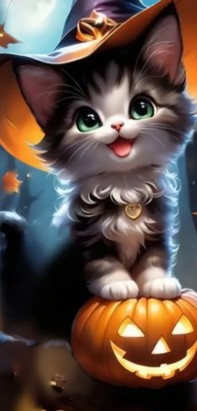 Cute kitten in witch hat on pumpkin for Halloween wallpaper.