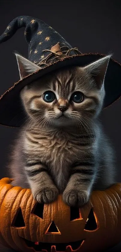 Cute kitten with witch hat in pumpkin, Halloween theme.