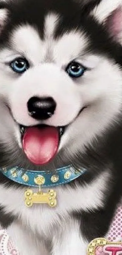 Adorable husky puppy with blue eyes on a lace background.