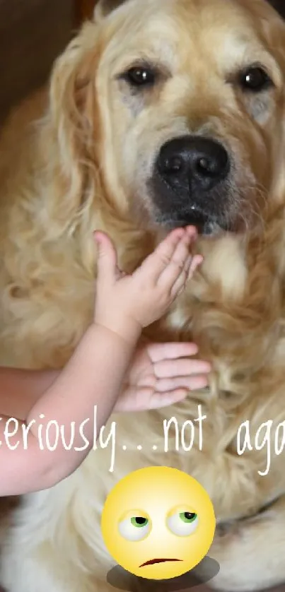 Toddler playing with a golden retriever with emoji and text overlay.