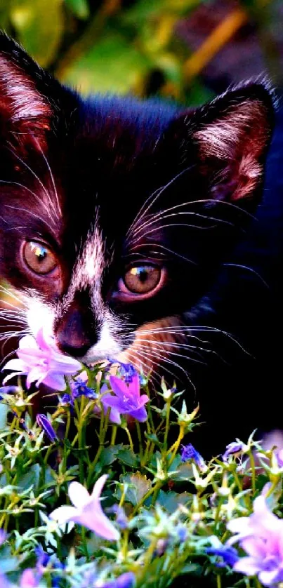 Adorable kitten with purple flowers in a lush green setting.