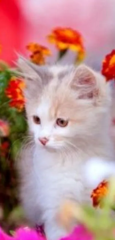 Cute kitten surrounded by colorful flowers in nature.