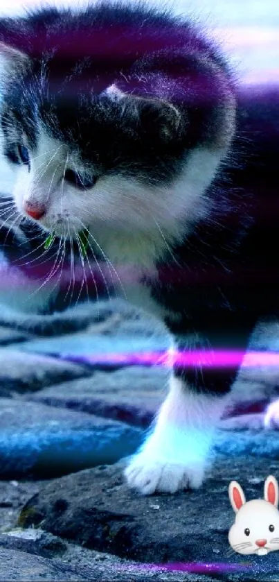 Playful kitten with plush bunny on cobblestone path.