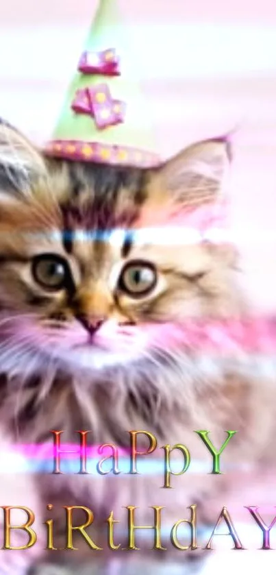 Cute kitten in birthday hat on pink background.