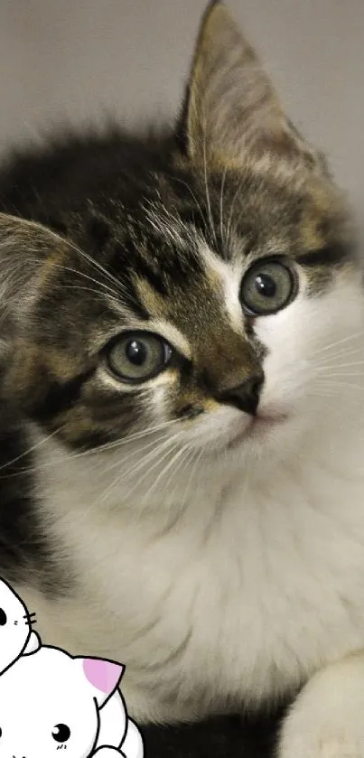 Adorable kitten with cute cartoon cats.