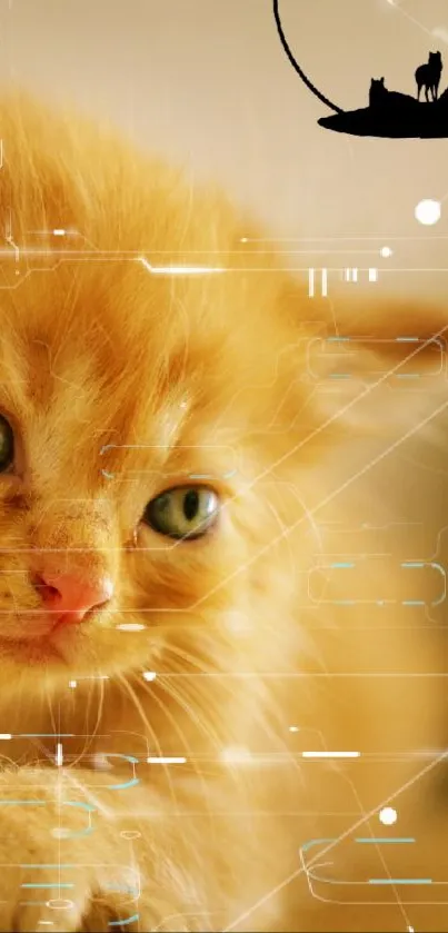 Adorable orange kitten with digital elements and cat silhouettes.