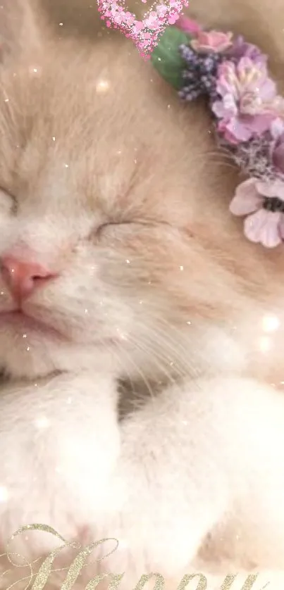 Adorable sleeping kitten with floral crown wallpaper.