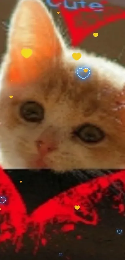 Adorable kitten with red heart wallpaper