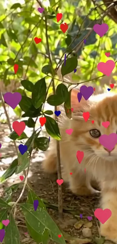 Adorable kitten surrounded by colorful heart shapes under leafy branches.