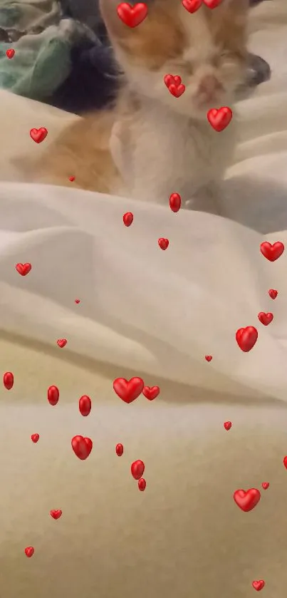 Cute kitten with floating red hearts on a white blanket background.