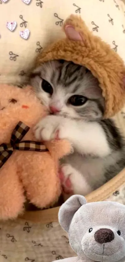 Kitten in bear hat hugging a soft toy.