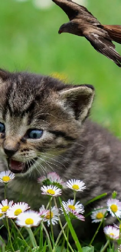 Playful kitten in grass surrounded by daisies, a bird flying above.