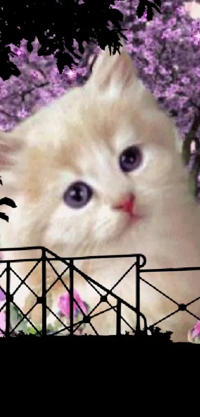 A fluffy kitten against pink blossoms and silhouette branches.