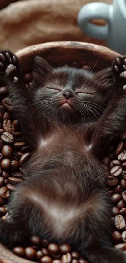 Adorable sleeping kitten on coffee beans in a bowl.