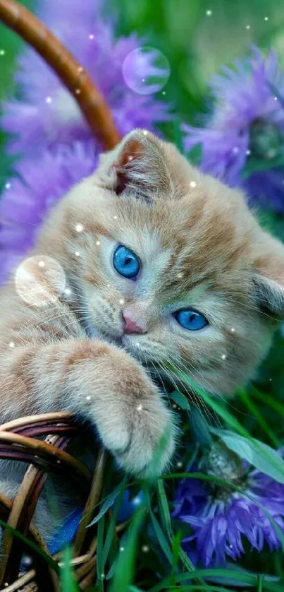 Ginger kitten in a flower basket with purple blooms and green background.