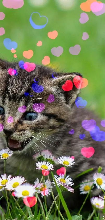 Adorable kitten playing among daisies in a grassy field.