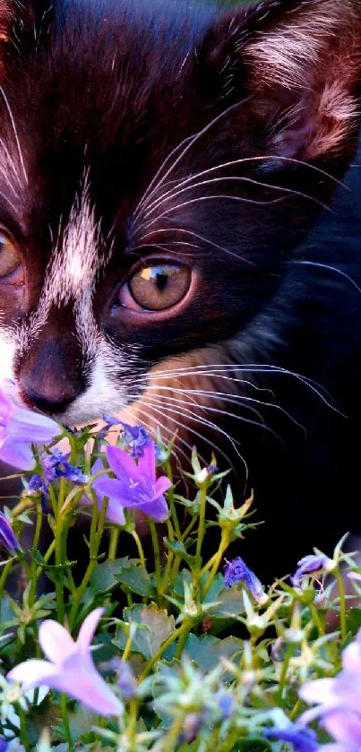 Black kitten sniffing purple flowers in a garden.