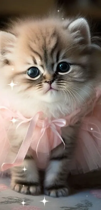 Cute kitten in a pink tutu on a patterned bedspread.