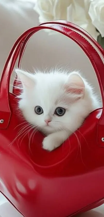 Fluffy white kitten in red heart-shaped handbag.