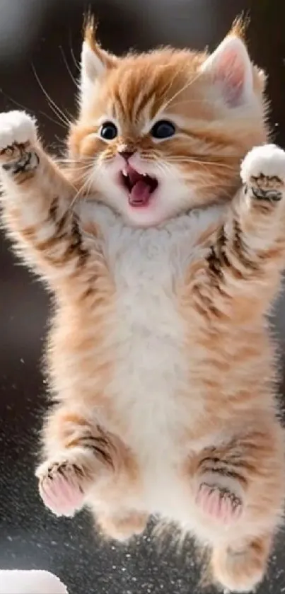 Cute orange kitten jumping excitedly in the snow, displaying playful energy.