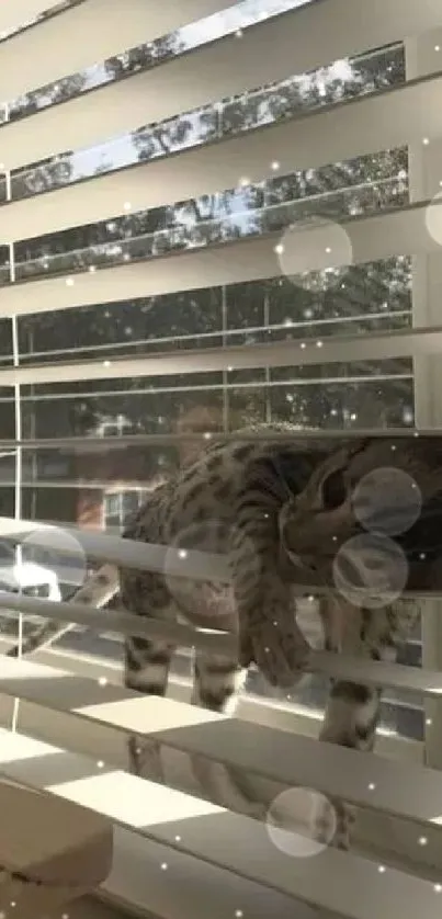 Adorable kitten playfully stuck in window blinds, bathed in sunlight.