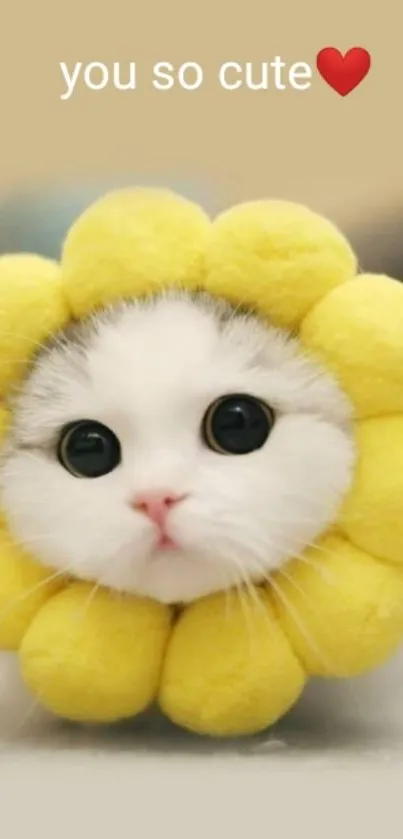 Cute kitten in yellow flower costume with 'you so cute' text.