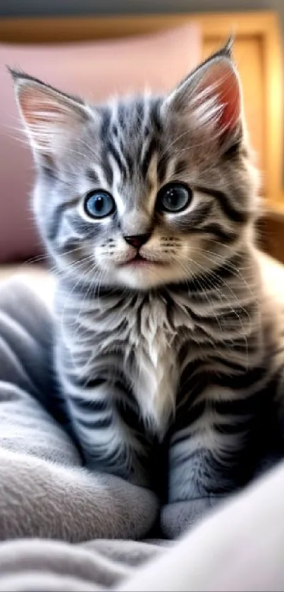 Close-up of a fluffy gray kitten with blue eyes on a cozy bed.