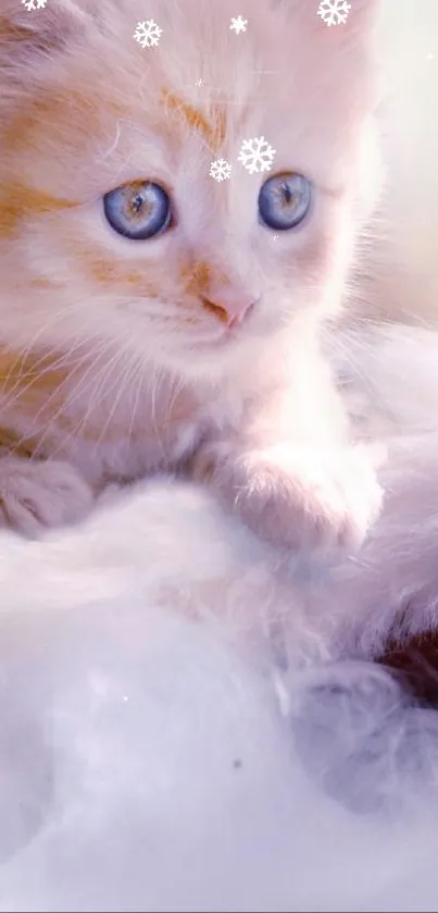 Adorable orange kitten with blue eyes on fluffy fur background.