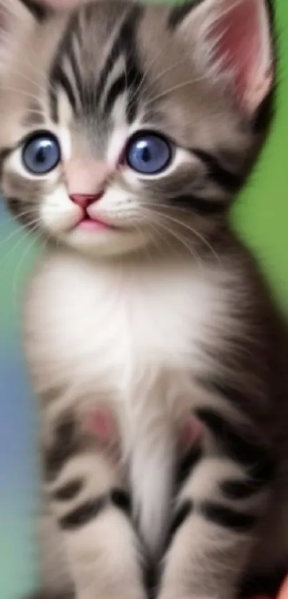 Adorable kitten with blue eyes on a green background, perfect for mobile wallpaper.