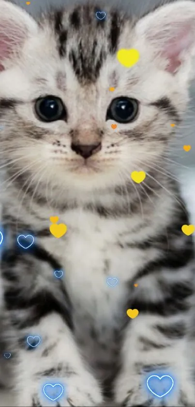 Adorable tabby kitten posing as mobile wallpaper.