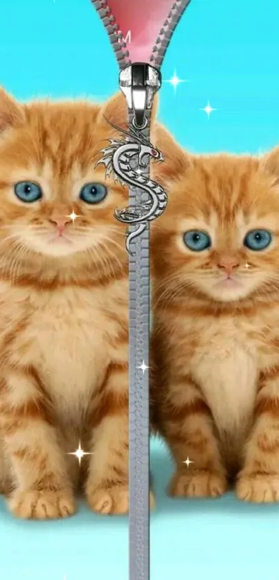 Two cute orange kittens with blue eyes and a zipper design on a mobile wallpaper.