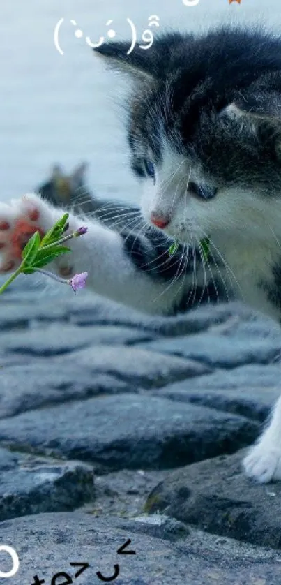 Playful kitten greeting morning with flowers over rocky surface.